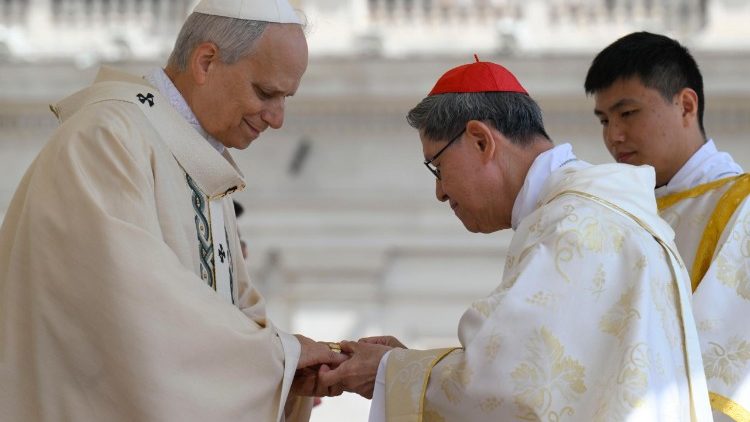 Leão XIV inicia seu ministério: "É a hora do amor! Olhem para Cristo e aproximem-se Dele" 1