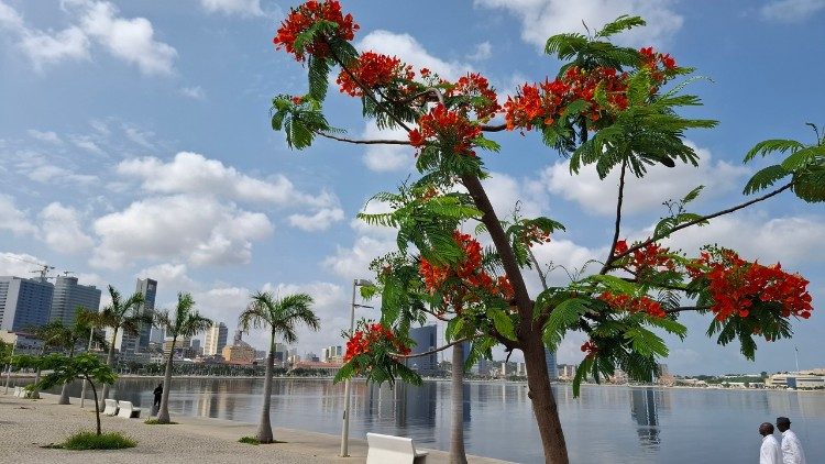 Lusofonias. Angola, 50 anos de luzes e sombras 1