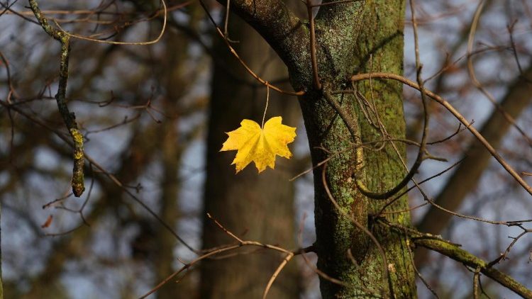 A irrefreável queda demográfica da Rússia 1