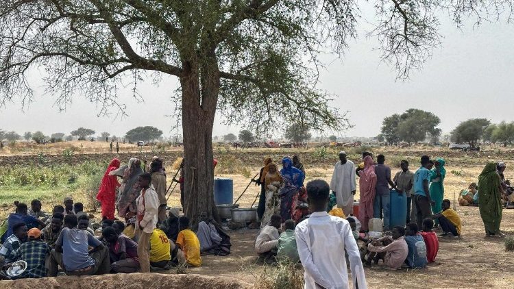 Sudão - a sociedade civil é uma luz no drama de El Fasher 1