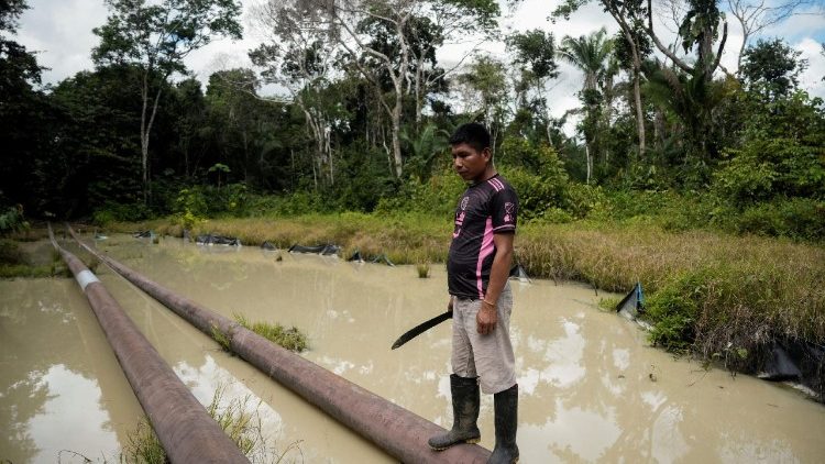 COP30: preservar a casa comum, porque nós não temos um plano B 1